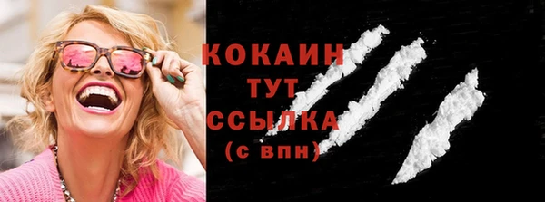 индика Вязники