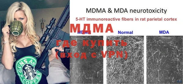ГАЛЛЮЦИНОГЕННЫЕ ГРИБЫ Вязьма