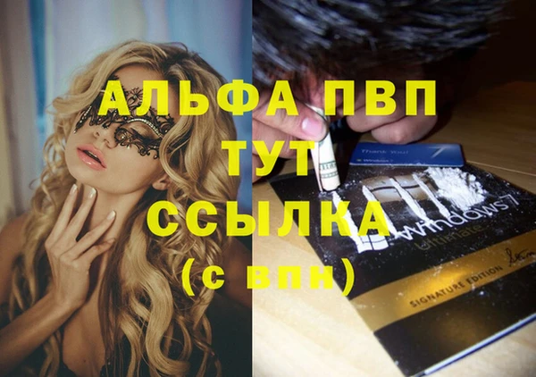 индика Вязники
