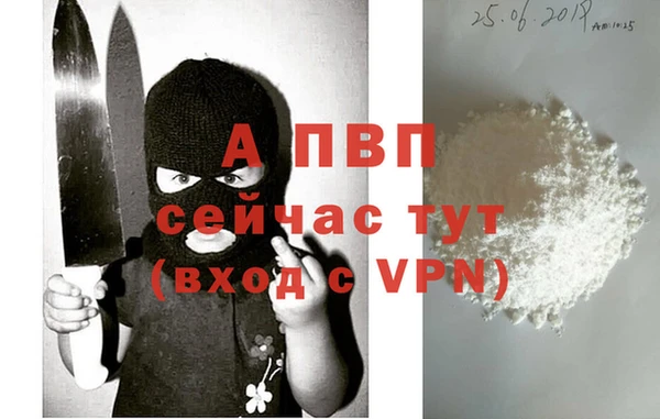 индика Вязники
