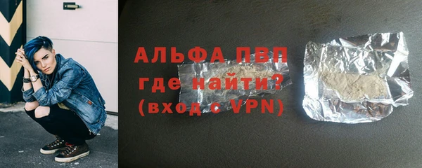 индика Вязники