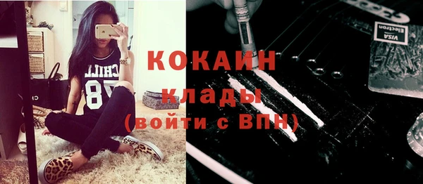 гидропоника Горнозаводск