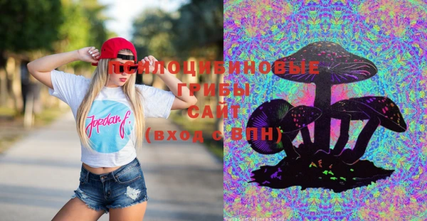ГАЛЛЮЦИНОГЕННЫЕ ГРИБЫ Вязьма